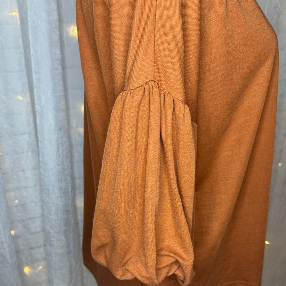 Miou Muse Women's Rust Blouse with Balloon Sleeves - Picture 4 of 8